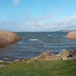 Moderne 3-raum Strandmoewe Mit Panoramafenster