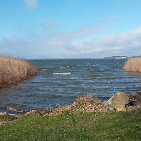 Moderne 3-raum Strandmoewe Mit Panoramafenster