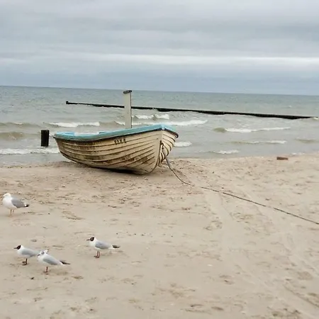Moderne 3-raum Strandmoewe Mit Panoramafenster *
